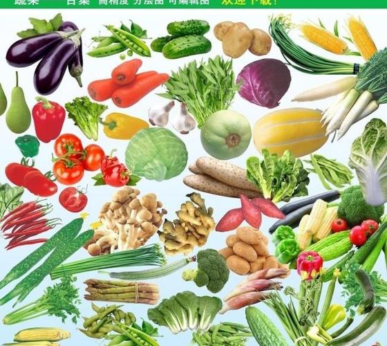 蔬菜合集天然綠色食品蔬菜圖片