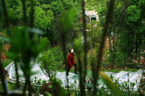 又近又美 寧鄉(xiāng)又添一個(gè)大公園 即將驚艷開園