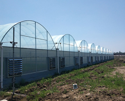 濰坊花卉溫室建設