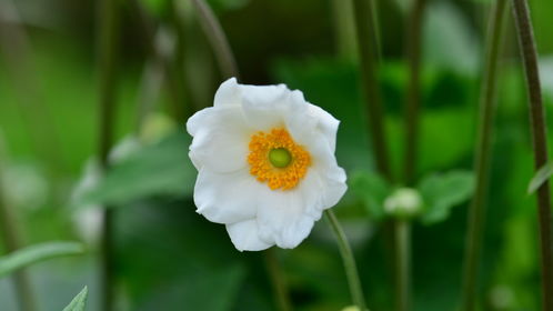 哈爾濱哪家醫院都能開診斷證明假條呢