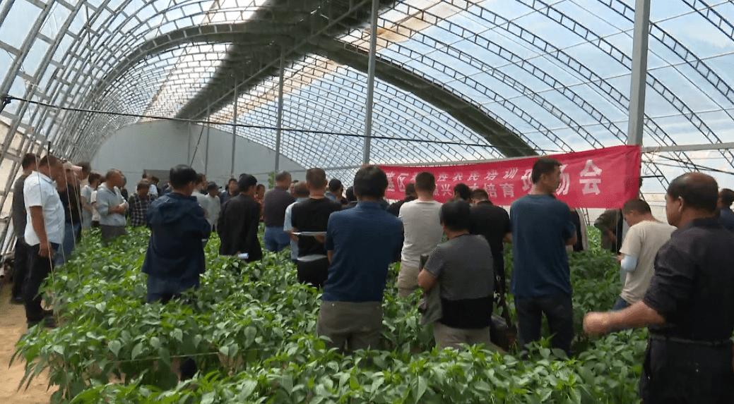 區蔬菜技術服務中心召開普及性農民培訓暨鄉村振興人才培育現場會