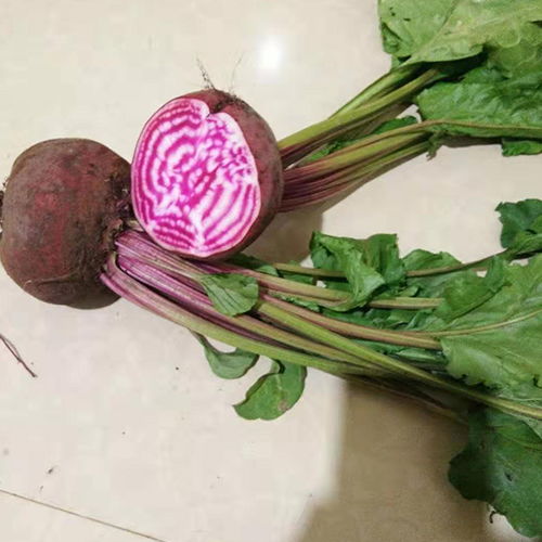 昆明無土栽培蔬菜哪里賣擇優(yōu)推薦 本信息長期有效