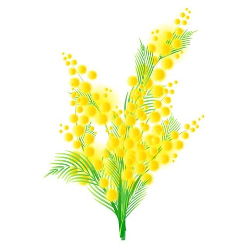 矢量圖植物寫意花卉花朵野花免費(fèi)素材