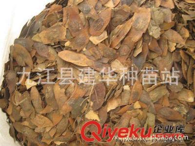 供應(yīng) 降香黃檀種子 優(yōu)質(zhì)木材 種子 黃花梨種子-九江縣建華種業(yè)提供供應(yīng) 降香黃檀種子 優(yōu)質(zhì)木材 種子 黃花梨種子的相關(guān)介紹、產(chǎn)品、服務(wù)、圖片、價(jià)格九江縣建華種業(yè)、林木種子;工程種子;園林綠化種子;花卉種子;珍稀樹(shù)種;紫玉蘭種子;羅漢松種子;黃山欒種子;小葉雞爪槭種子;桂花種子;濕地松種子;雪松種子;楠木種子;南方紅豆杉種子;櫸樹(shù)種子;杉木種子;皂角種子;楊梅種子;馬尾松種子;藍(lán)花楹種子