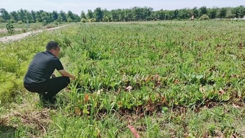 綠水青山 算 身價(jià) 恒豐銀行巧用gep核算報(bào)告助力企業(yè)破解融資難題