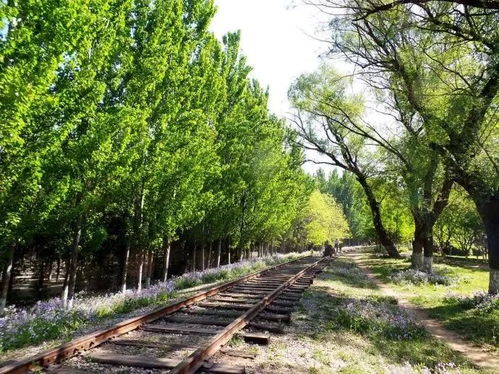 鮮為人知的免費(fèi)公園,野趣天然,精致獨(dú)特,就在朝陽(yáng)區(qū)