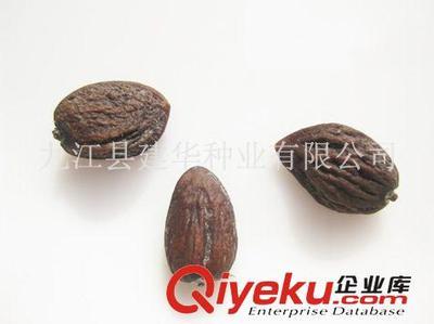 供應木蘭科種子 觀光木 香花木香木楠、宿軸木蘭 園林綠化種子-九江縣建華種業提供供應木蘭科種子 觀光木 香花木香木楠、宿軸木蘭 園林綠化種子的相關介紹、產品、服務、圖片、價格九江縣建華種業、林木種子;工程種子;園林綠化種子;花卉種子;珍稀樹種;紫玉蘭種子;羅漢松種子;黃山欒種子;小葉雞爪槭種子;桂花種子;濕地松種子;雪松種子;楠木種子;南方紅豆杉種子;櫸樹種子;杉木種子;皂角種子;楊梅種子;馬尾松種子;藍花楹種子