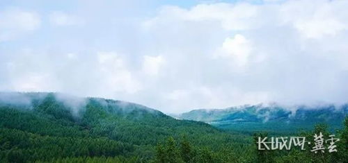 塞罕壩賣 碳 ,這樣的森林不一般