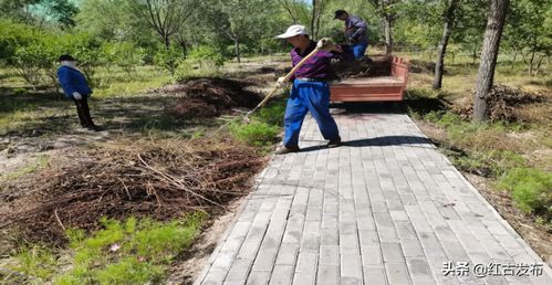 紅古區綠化管理所開展林木養護工作