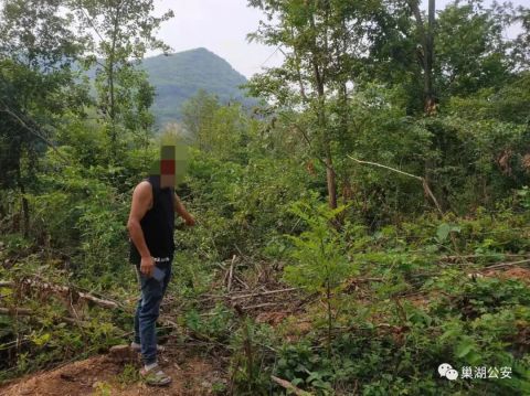 自家承包山地上的樹能隨意砍 安徽巢湖五人被起訴