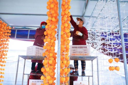 分享式 扶貧對一個村莊堪比一所大學(xué)