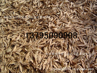 糖槭種子,林木種子、造林種子、種子市場(chǎng)行情_農(nóng)副產(chǎn)品_世界工廠網(wǎng)