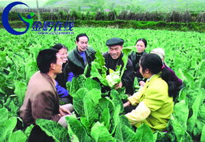 保持先進性 建設新農(nóng)村 全省農(nóng)村先進性教育活動學習動員階段掠影