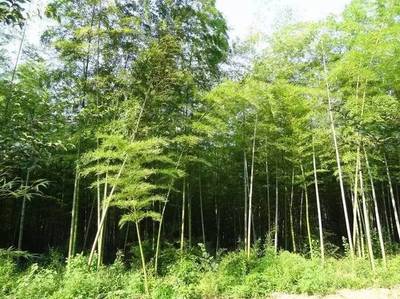 小長假最全馬鞍山出游攻略,爬山、溫泉、公園&hellip;想怎么嗨就怎么嗨!