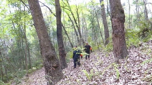 貴州望謨 加強林木種質(zhì)資源保護 奏響生態(tài)文明奮進樂章