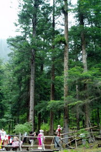 2012年 迎國慶 教職工書畫攝影作品展示 攝影