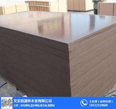 膠合板模板、源林木業 圖 、膠合板模板廠家