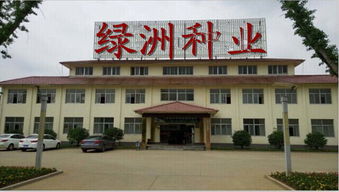 吐魯番進口辣木籽購買指南 源頭與渠道解析